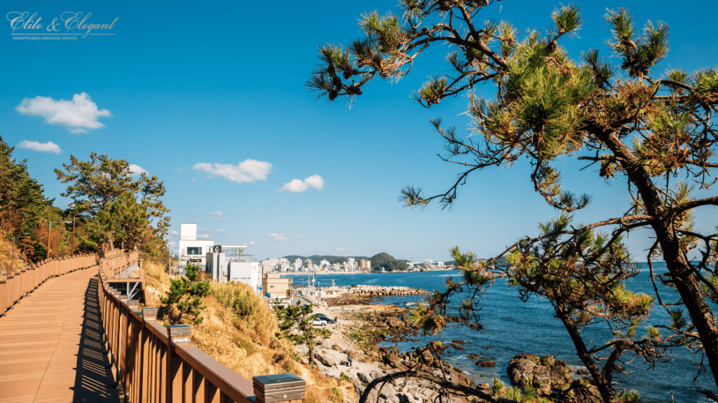 Relax and Unwind on the Coastal Trails